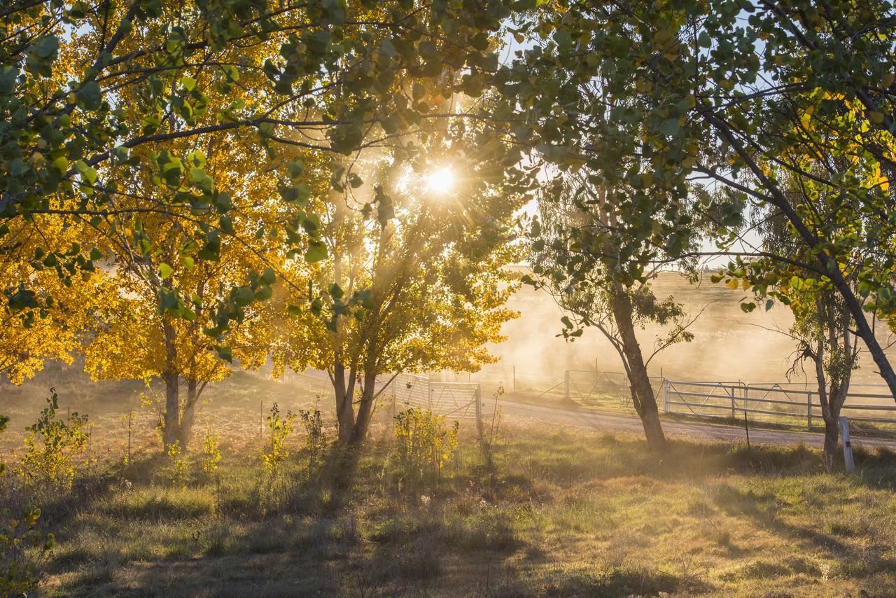 Peppertree Farm Mudgee Villa Exterior photo